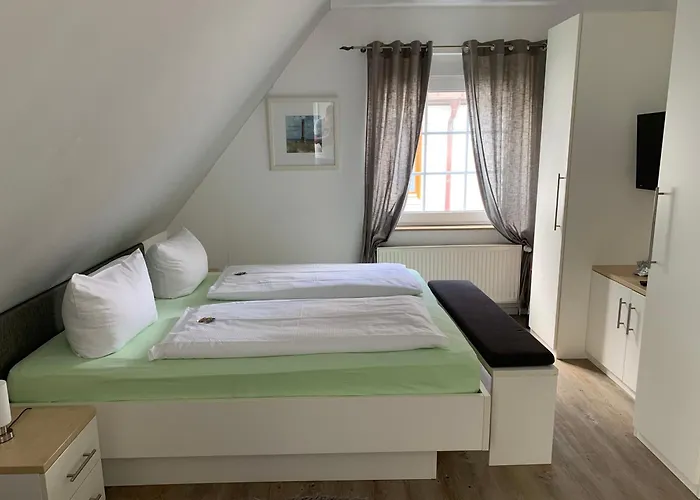 Strandflieder Backbord Norderney